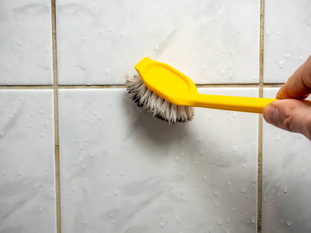 Professional Mold Removal in Dadeville, AL