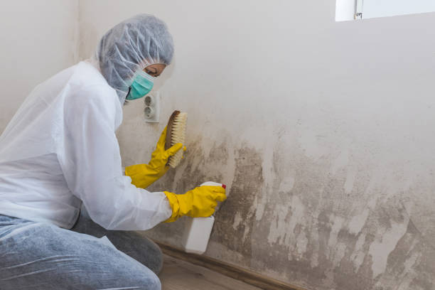 Best Water Damage Restoration  in Dadeville, AL
