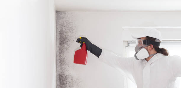 Best Mold Testing  in Dadeville, AL