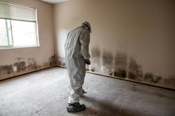 Best Mold Cleaning Services  in Dadeville, AL